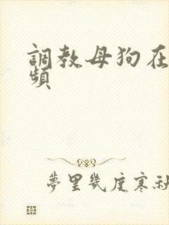 调教母狗在线视频