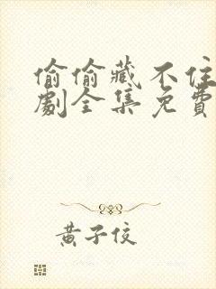 偷偷藏不住广播剧全集免费封面