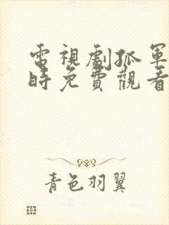 电视剧孤军十二时免费观看国语版封面