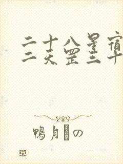 二十八星宿七十二天罡三十六地煞