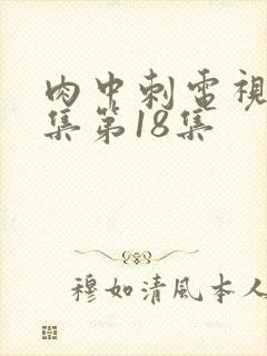 肉中刺电视剧全集第18集