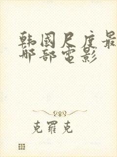 韩国尺度最大的哪部电影