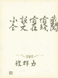 小说偷偷藏不住全文在线阅读