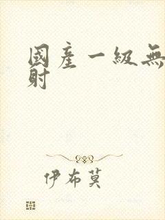 国产一级无套内射