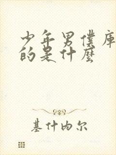 少年男仆库洛讲的是什么