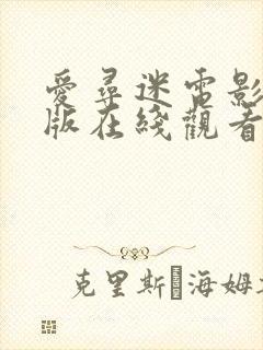 爱寻迷电影完整版在线观看封面