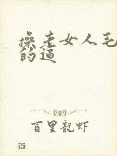 操老女人毛茸茸的逼