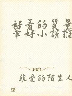 好看的质量高文笔好小说推荐