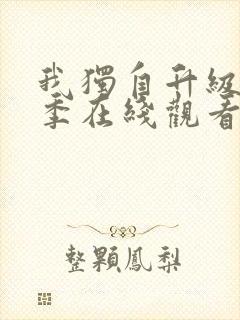 我独自升级第二季在线观看免费封面