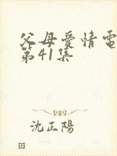 父母爱情电视剧第41集