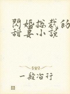 闪婚总裁的契约甜妻小说封面