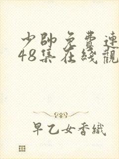 少帅免费连续剧48集在线观看高清封面