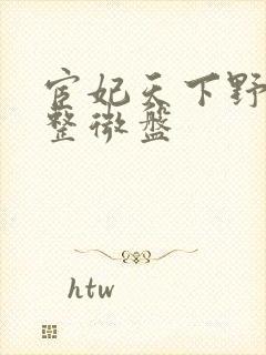 宦妃天下野泉完整微盘