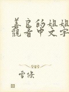 善良的姐姐在线观看中文字幕封面