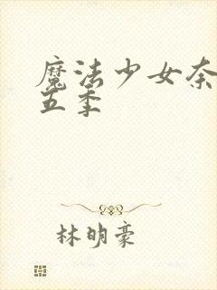 魔法少女奈叶第五季封面