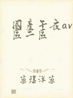 国产午夜av一区二区