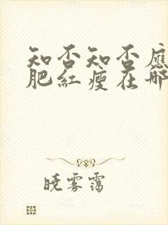 知否知否应是绿肥红瘦在哪个朝代