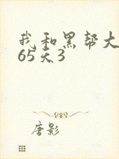 我和黑帮大佬365天3