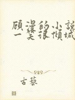 顾漫的小说微微一笑很倾城