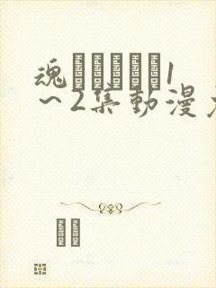 魂インサート1～2集动漫免费封面