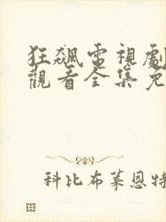 狂飙电视剧在线观看全集免费播放