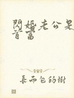 闪婚老公是亿万首富封面