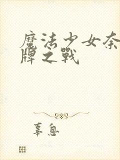 魔法少女奈叶王牌之战封面