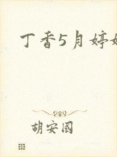 丁香5月婷婷网