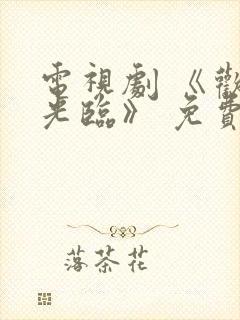 电视剧 《欢迎光临》 免费观看