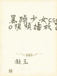 暴躁少女csgo视频播放器推荐