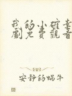 我的小确幸电视剧免费观看完整版