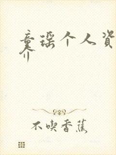 童瑶个人资料简介封面