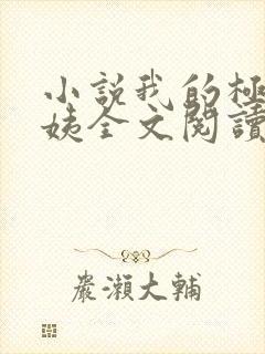 小说我的极品小姨全文阅读封面