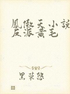 凤傲天小说里的反派黄毛