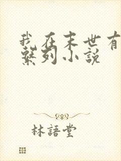 我在末世有套房系列小说