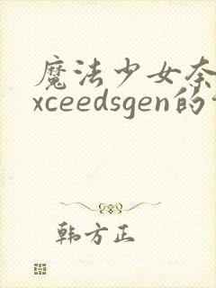 魔法少女奈叶exceedsgen的介绍