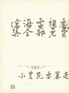 沧海电视剧48集全部免费播放