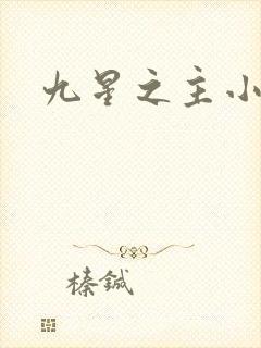 九星之主小说