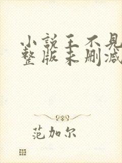 小说王不见王完整版未删减小说