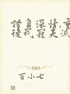 错负深情,重生后我宠夫灭渣