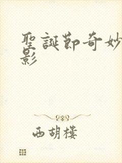 圣诞节奇妙夜电影