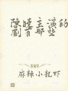 陈晓主演的电视剧有哪些