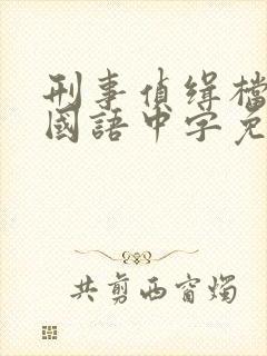 刑事侦缉档案2国语中字免费