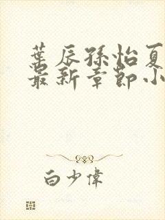 叶辰孙怡夏若雪最新章节小说