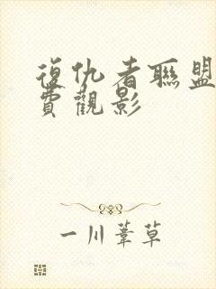 复仇者联盟2免费观影