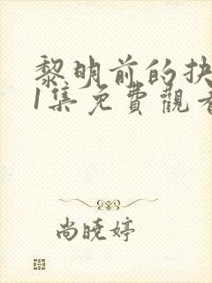 黎明前的抉择21集免费观看