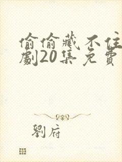 偷偷藏不住广播剧20集免费收听