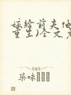 嫁给前夫他哥(重生)全文免费阅读封面