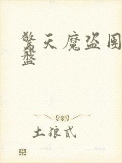 惊天魔盗团2网盘