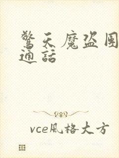 惊天魔盗团2普通话